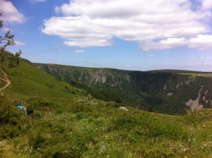 vosges y cimes